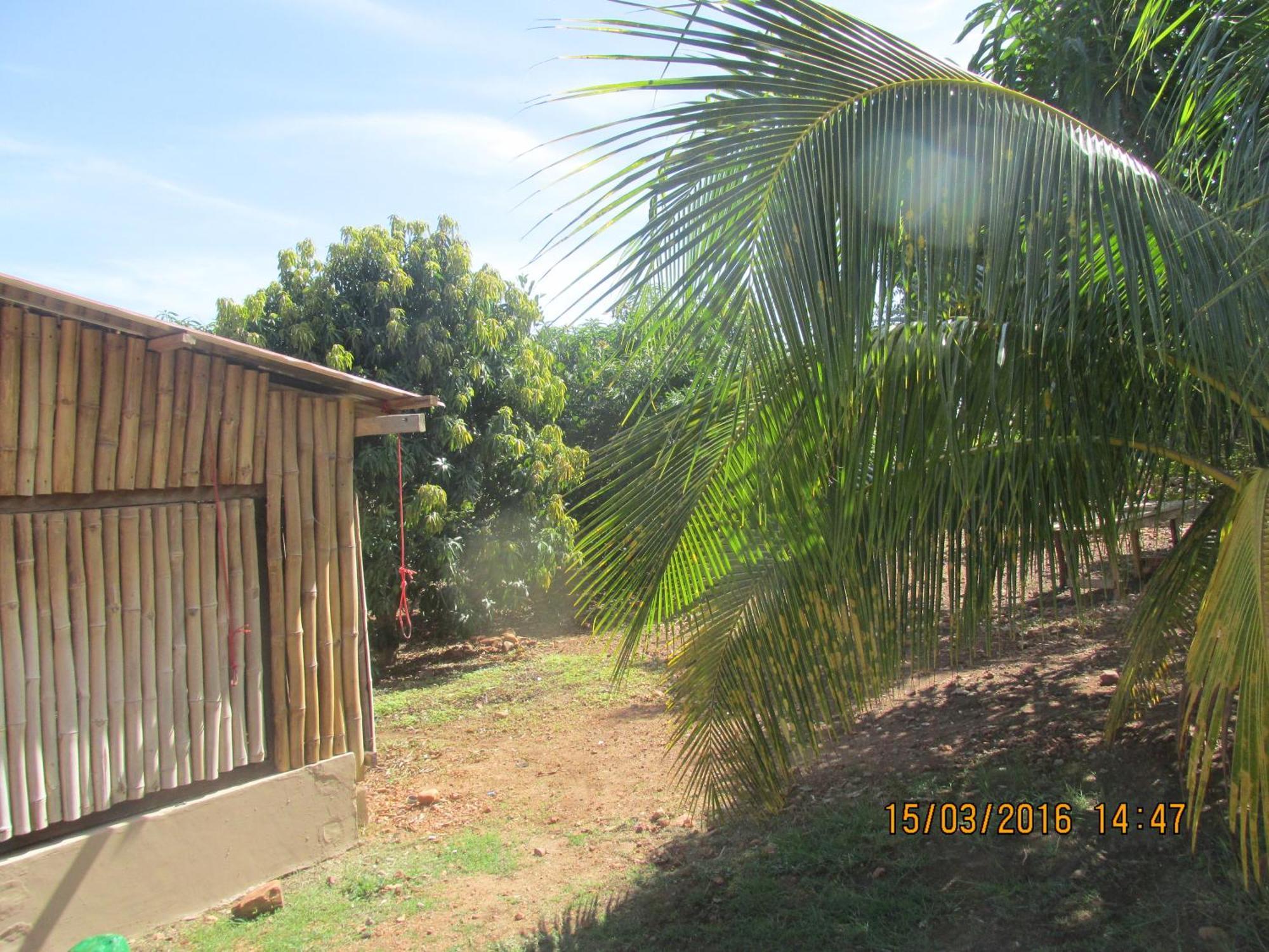 Jamaica Inn Guest House Botianaw Esterno foto