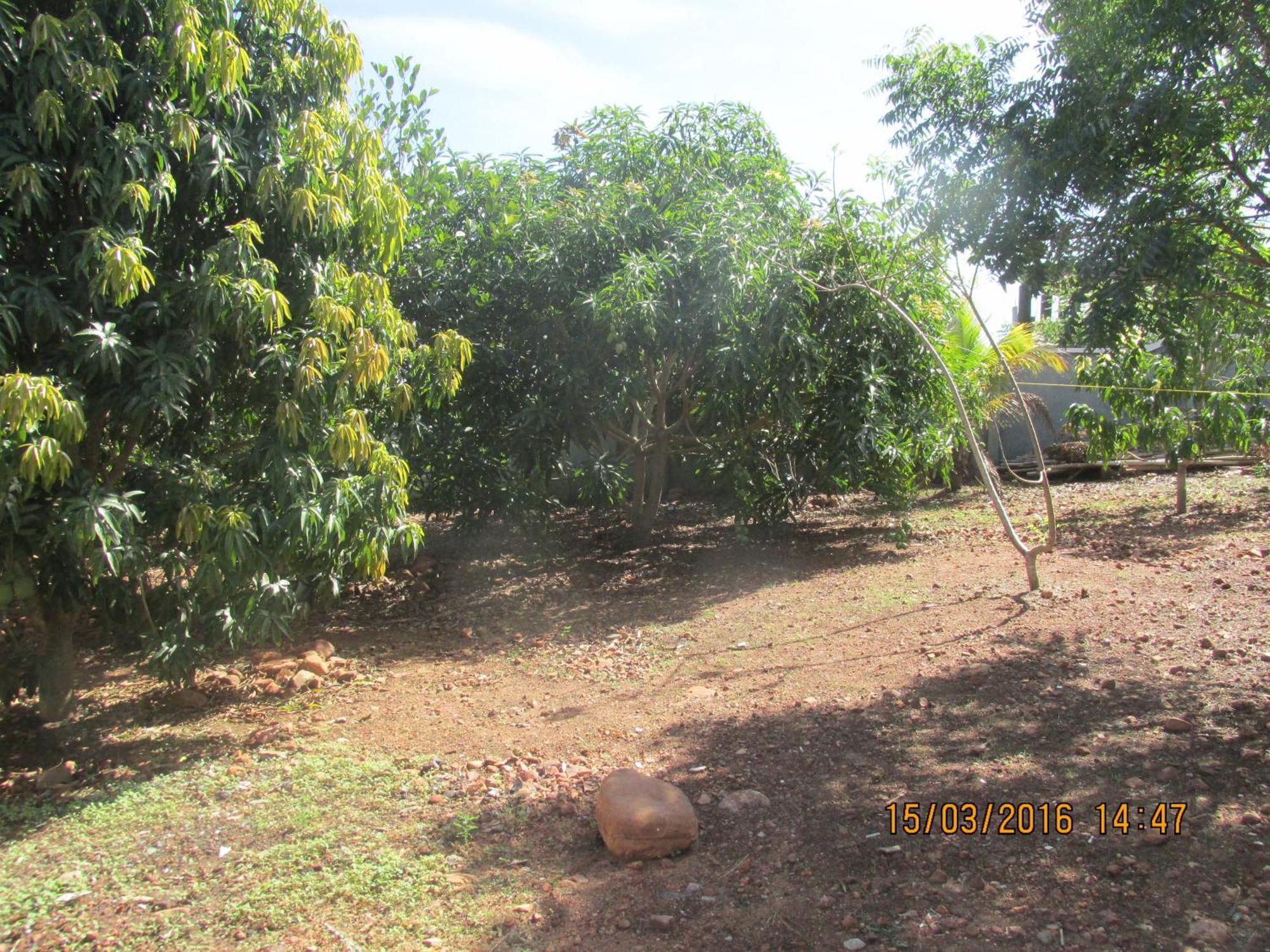 Jamaica Inn Guest House Botianaw Esterno foto